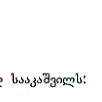 ღია წერილი საქართველოს პრეზიდენტს ბატონ მიხეილ სააკაშვილს